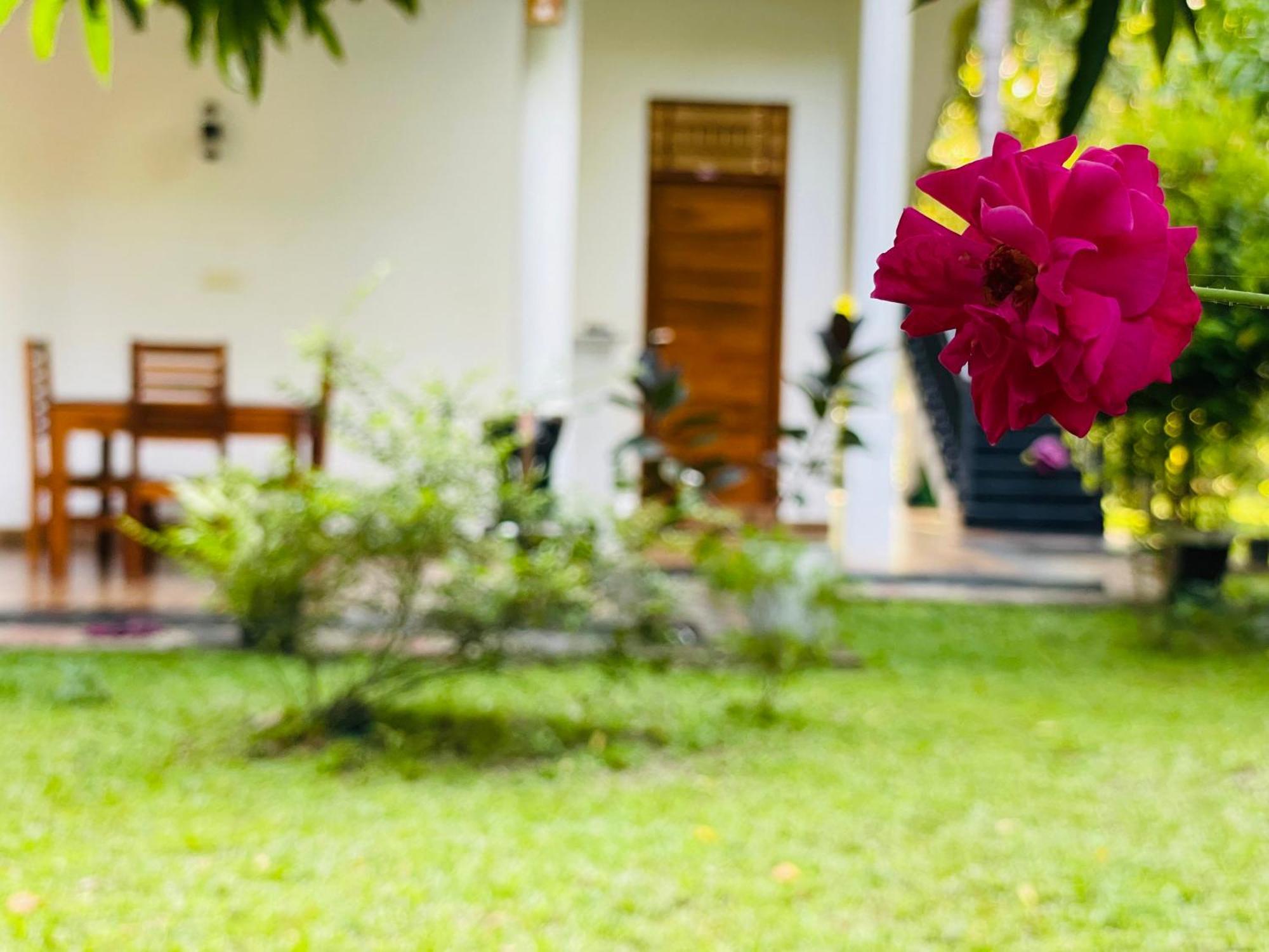 Yala Safari River View Hotel Tissamaharama Exterior photo